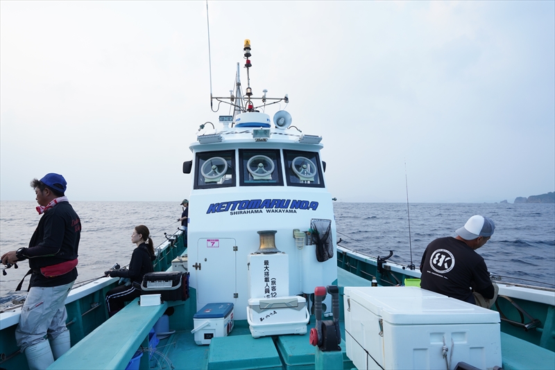 料金プランについて