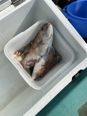 IMG_5511.jpeg