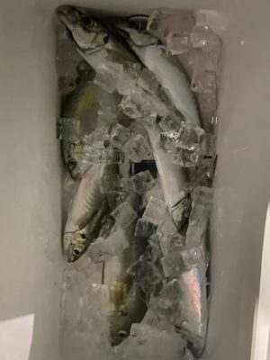 IMG_5778.jpeg
