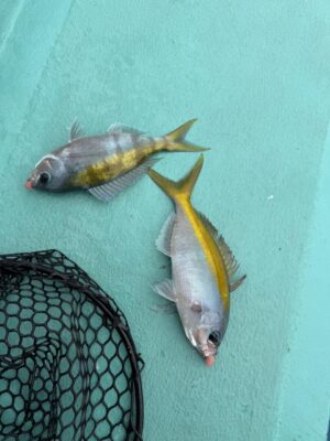 IMG_6770.jpeg