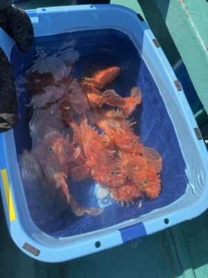 IMG_7734.jpeg