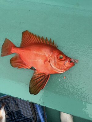IMG_7869.jpeg