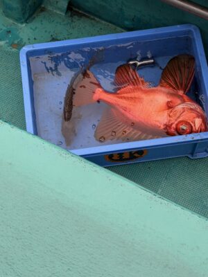 IMG_7871.jpeg