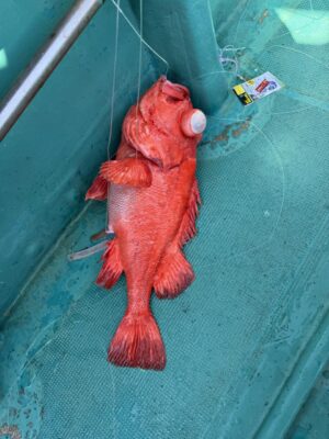IMG_7921.jpeg