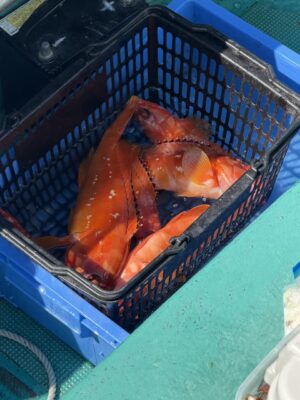 IMG_7928.jpeg