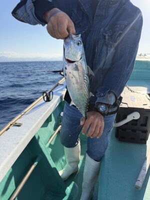 IMG_8012.jpeg