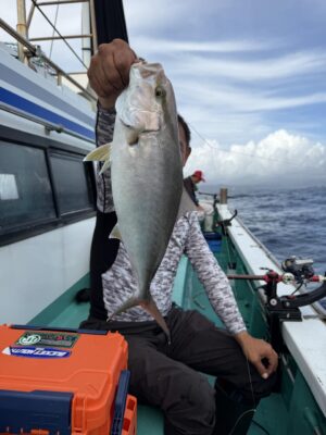 IMG_8043.jpeg