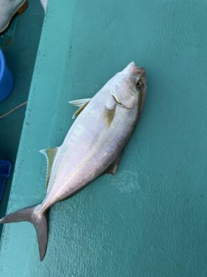 IMG_8051.jpeg